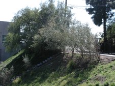 Enlarge photo 42