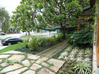 Enlarge photo 8