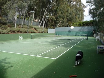 Enlarge photo 58