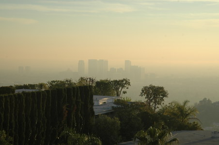 Enlarge photo 71