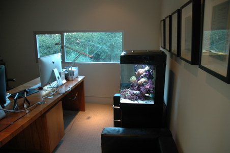 Enlarge photo 34
