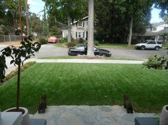 Enlarge photo 3