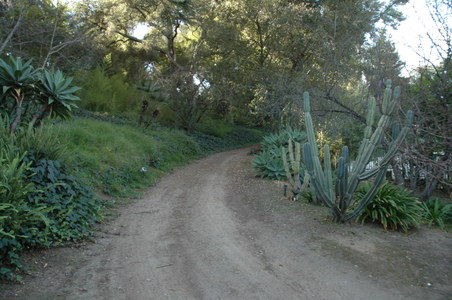 Enlarge photo 121