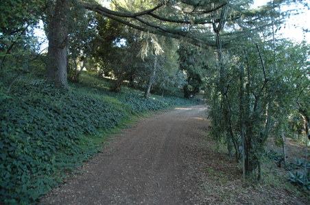 Enlarge photo 122