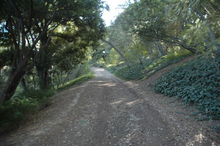 Enlarge photo 124