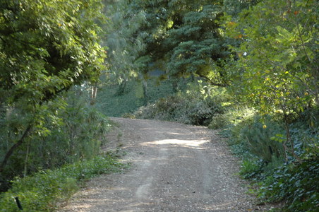 Enlarge photo 125