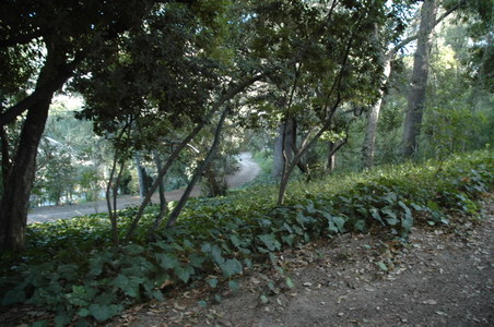 Enlarge photo 126