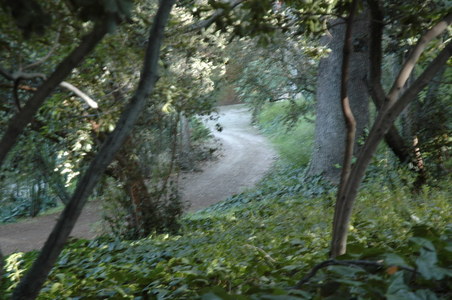Enlarge photo 127