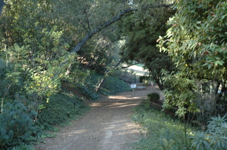 Enlarge photo 128