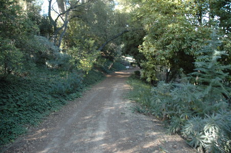 Enlarge photo 129