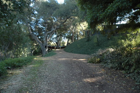 Enlarge photo 130