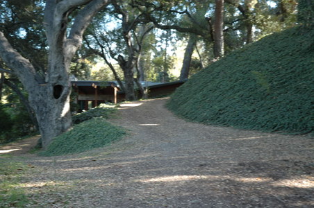 Enlarge photo 131
