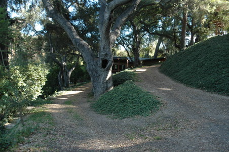 Enlarge photo 132