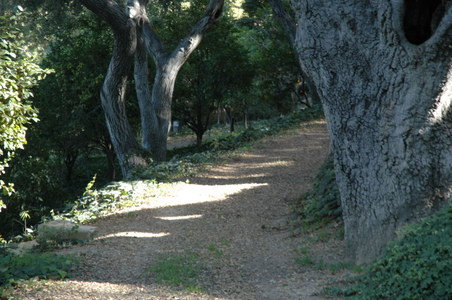 Enlarge photo 133