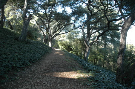 Enlarge photo 136