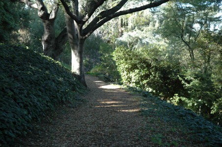 Enlarge photo 137