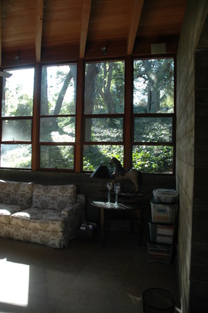 Enlarge photo 152
