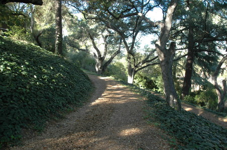 Enlarge photo 161