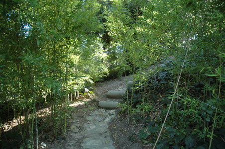 Enlarge photo 173