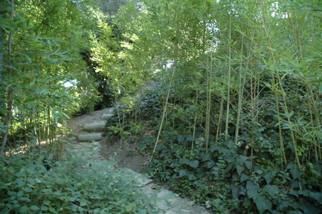 Enlarge photo 174