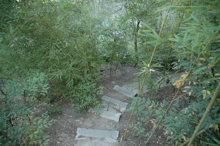 Enlarge photo 175