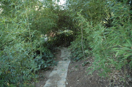 Enlarge photo 176