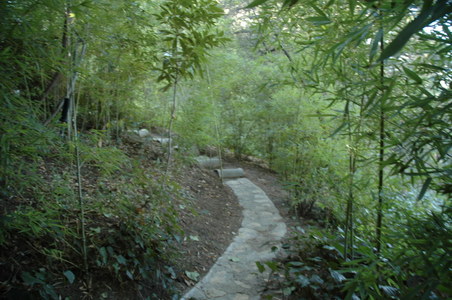 Enlarge photo 177