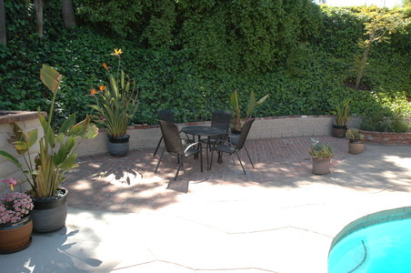 Enlarge photo 32