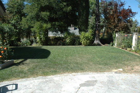 Enlarge photo 43