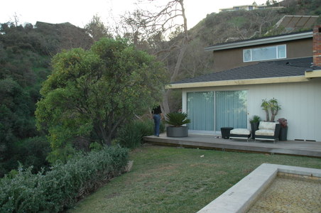 Enlarge photo 63