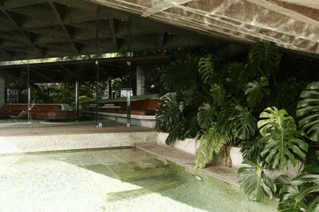 Enlarge photo 45