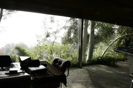 Enlarge photo 53
