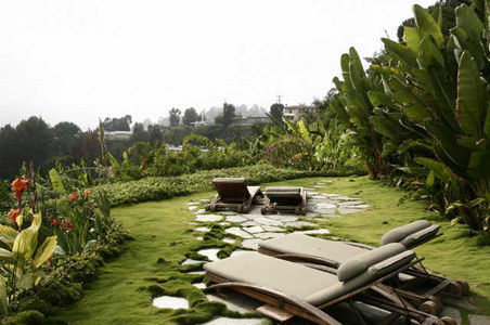 Enlarge photo 102