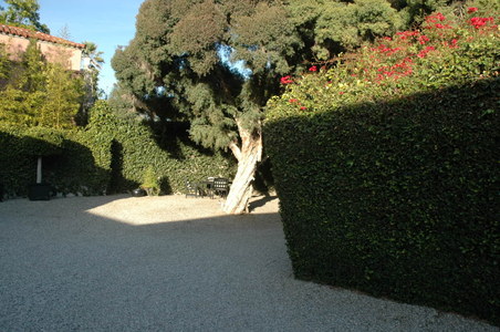 Enlarge photo 72