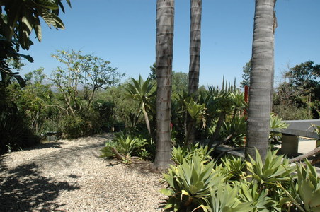 Enlarge photo 65