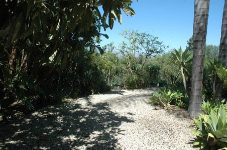 Enlarge photo 66