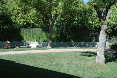 Enlarge photo 41