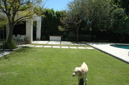 Enlarge photo 45