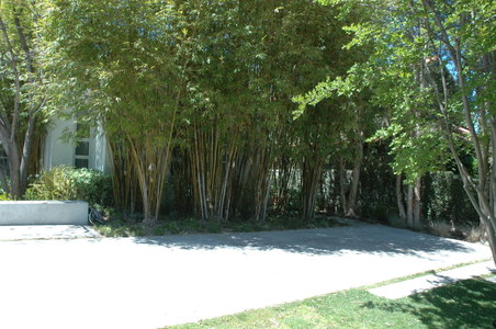 Enlarge photo 57