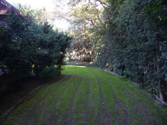 Enlarge photo 54