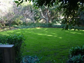 Enlarge photo 55
