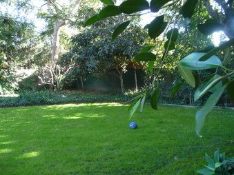 Enlarge photo 58