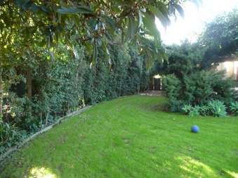 Enlarge photo 61