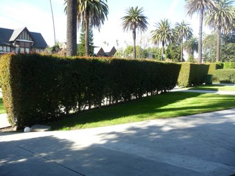 Enlarge photo 66