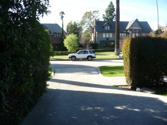 Enlarge photo 67