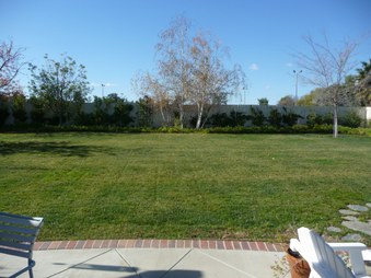 Enlarge photo 31
