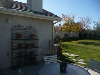 Enlarge photo 33