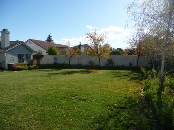 Enlarge photo 35