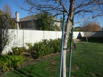 Enlarge photo 37