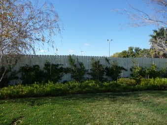 Enlarge photo 38